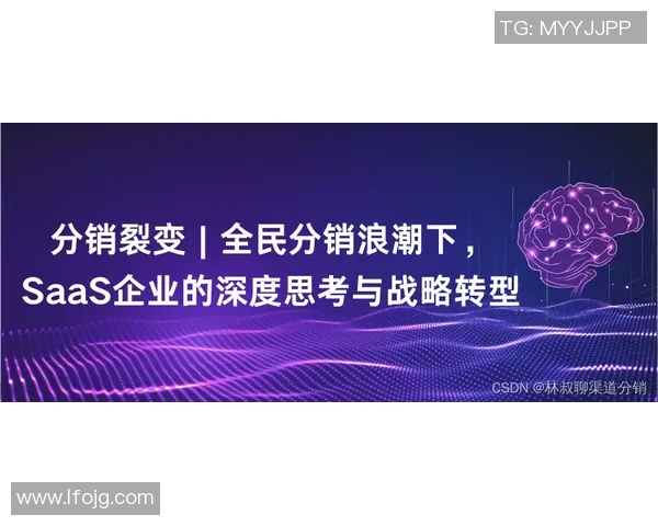 探索美国市场的机遇与挑战实现商业成功的策略与方法